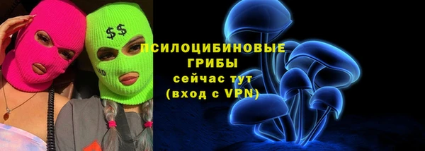 дживик Алзамай
