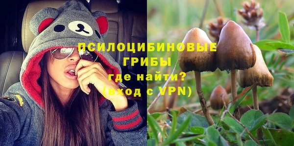 мескалин Арсеньев