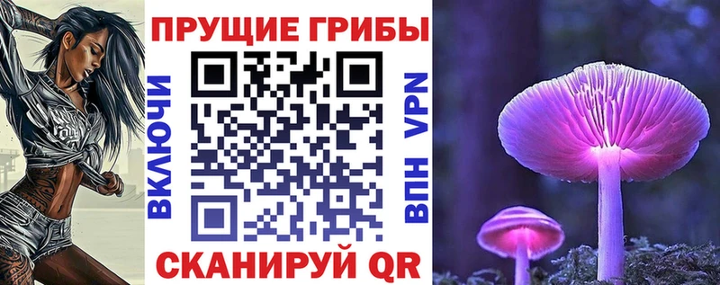 Псилоцибиновые грибы прущие грибы Оса