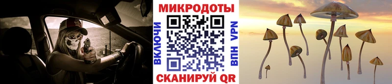 Галлюциногенные грибы MAGIC MUSHROOMS  купить  цена  Оса 
