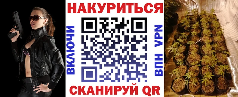 Шишки марихуана сатива даркнет сайт Оса